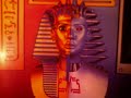 polymarchs high energy show mix polymarchs high energy show mix