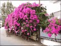 2007 Trip - Part 1 - Crete - Iraklion