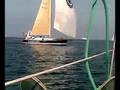videos de Blauwvoet NED7172