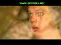 Part 4 Alien Abductees Talk About Their Experiences