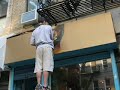 tropicalia-in-furs-mural.html