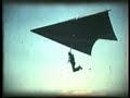 Rogallo Rogallo