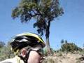 stage-triathlon-boul