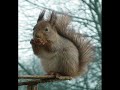 Smells good-oravale Smells good-oravale