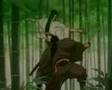 AMV kawajiri nightwish stargazers