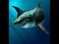 Shark Bait - Time Lapse Art Shark Bait - Time Lapse Art