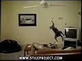 Hilarious Cat swung by fan EXTENDED