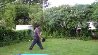 Chicago Dog Training Doberman Pinscher with Suburban K9!