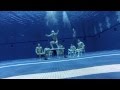 UGA Men's Swim & Dive Harlem Shake - YouTube