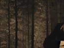 This video features singer/songwriter Carrie Newcomer talking about her latest CD released on Rounder Records,
