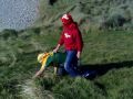 Kerry GAA Animals in West Cork
