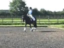 changing the diagonal in trot.