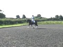 changing the diagonal in trot.
