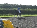 changing the diagonal in trot.