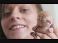 Kitten sucked to safety by quick-thinking firemen