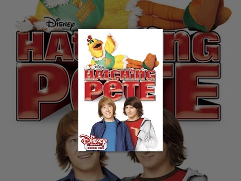 Hatching Pete