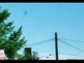 ¿Platos voladores o moscas voladoras?