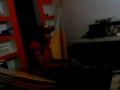 una escarcha de cucaracha.MP4