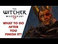 The Witcher 3 After You Beat The Game