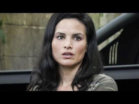 The Real Reason Hawaii Five-0 Called It Quits