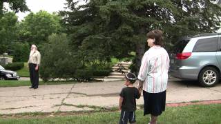 Código 00532 Great Wall Interpretación