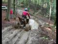 One day in the Slovenian woods