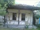 sirya (zeytinlik k�y�) ARTV?N