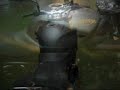 Triumph Street Triple R 2010, Primer arranque