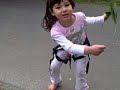 Tree Swing
