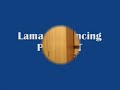 Esky Lama V3 Dancing