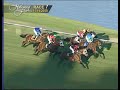 Canani Sends Out Loup Breton To Win North American Debut