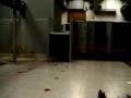 IT