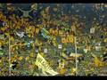FAN PROJECT - Seven Nation Army - The new Soccer Fan Remix