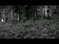 videos de Hans Steif - Boys Camp 08