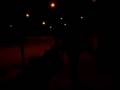 Perdidos en el bosque :$ PARTE I