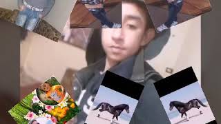 مخيم  شاتيلا