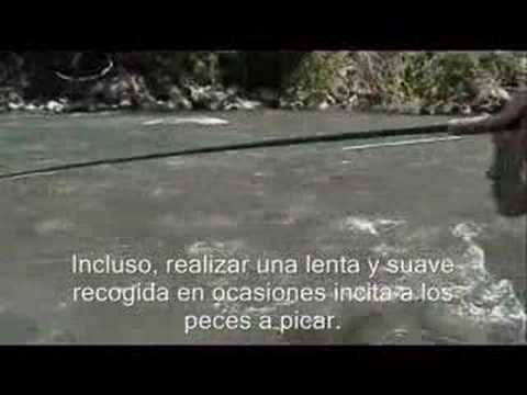 Imagen de previsualización de YouTube
