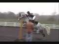 1M10 & 1M15 Dillie @ Merrist Wood 29th November 1M10 & 1M15 Dillie @ Merrist Wood 29th November