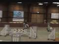 1M10 & 1M15 Dillie @ Merrist Wood 29th November