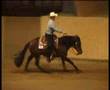Winner reining Spring Break Bokeberg 2008 Bekijk video