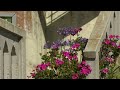 Alcatraz-Alcatraz National Park: Alcatraz Travel Video PostCard