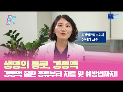 생명의 통로, 경동맥! 경동맥 질환 종류부터 치료 및 예방법까지!