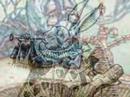 Nebun-de-Alb-Emeric-