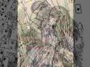 Nebun-de-Alb-Emeric-