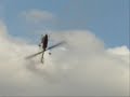 trex 600n (nitro) - Apostolos 3D -  @ Dounis