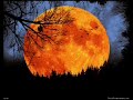Sleeping Satellite - Karnivool