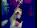 videos de 