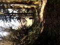 MOV00659