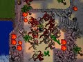 Viking OT Server / Tibia