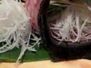The sashimi is ALIVE!